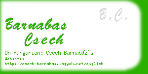 barnabas csech business card